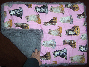 Cat Mat from Paws For Paws