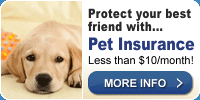 Kroger Pet Insurance
