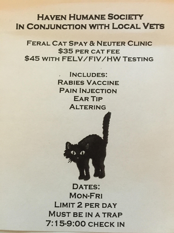 Feral Cat Program from Haven Humane