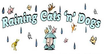 Raining Cats 'N' Dogs